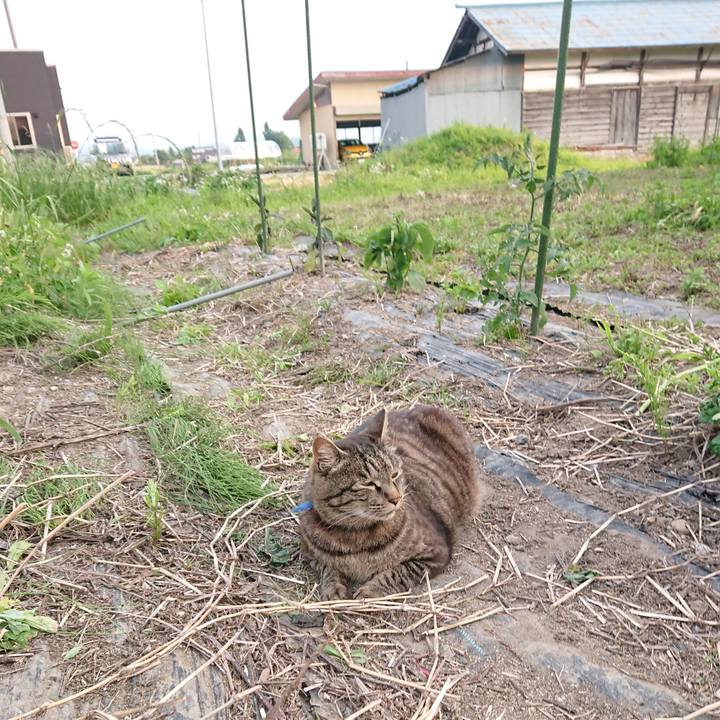 D95661f4 9ca9 4988 8e94 2ffda33cbdf7 1655631246156