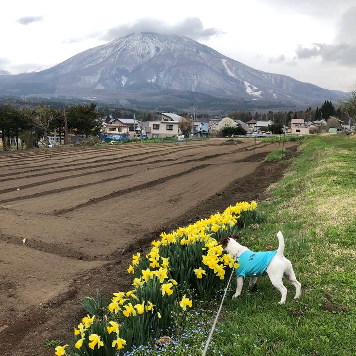 D956773c 6413 4adf a18f dabc69c38448 1556102366476