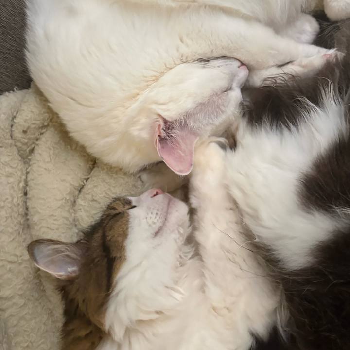 D9569122 ba82 4489 b8c9 4688ac52c47f 1770077828603