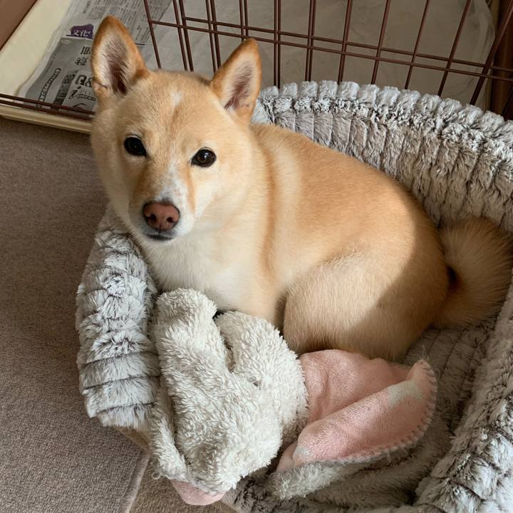 D956b3a2 1ace 4136 9894 62122c40cd0b 1634256779752