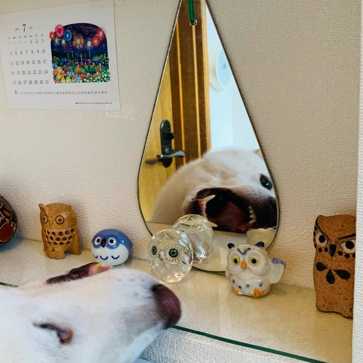 D956c2eb fadb 41b7 a746 894056dcbe1d 1626384318915