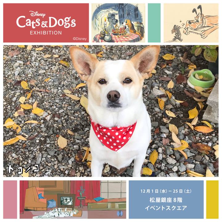 D956e0d6 1c8d 4999 ad19 08d25b059a6f 1638329314693