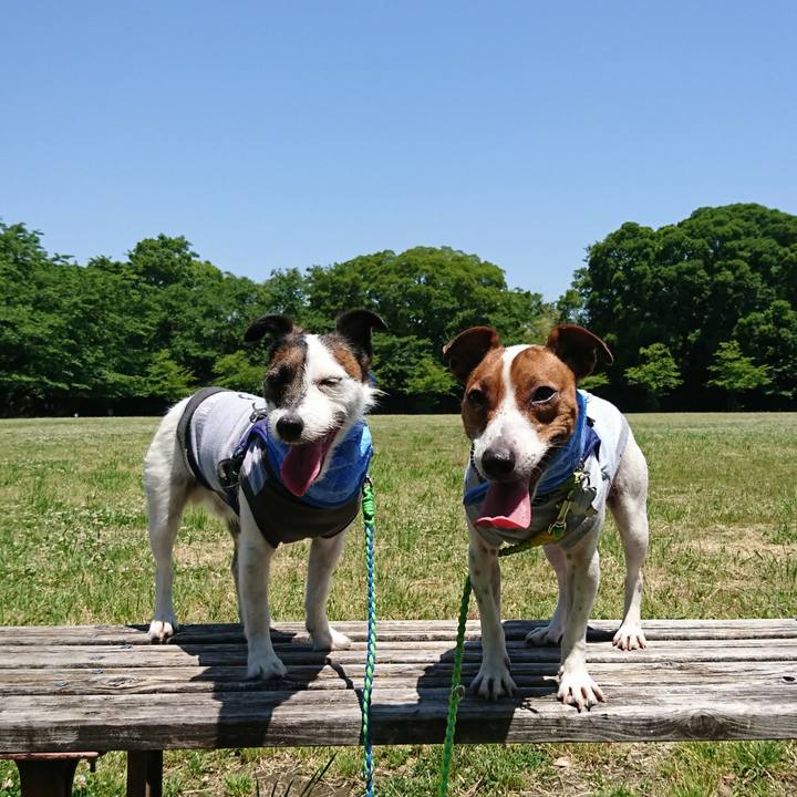 D956e3ae 541b 483c ba66 cfaa3603a763 1558753206955