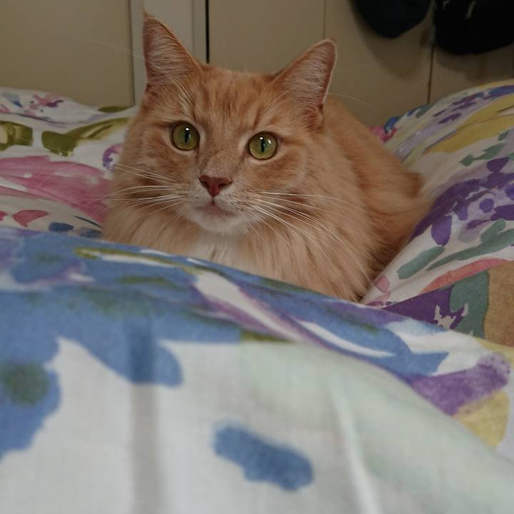 D956fe25 cf6a 47eb ab23 1907c9eb998b 1540077749944