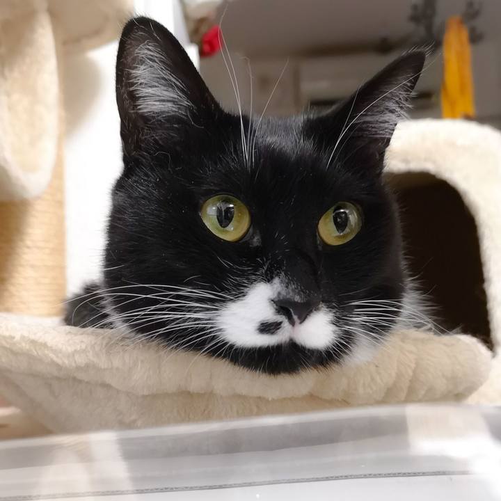 D9572c5f 3c58 4648 8b42 90262a9cb514 1549973705587