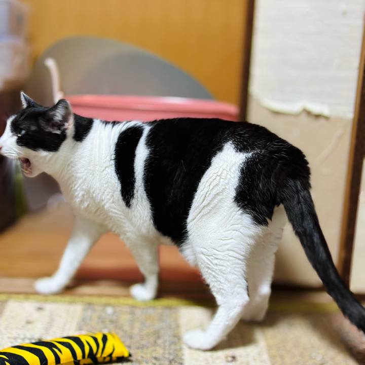 D95736fb 04ca 4b70 833f fc460a7cf4cd 1701652399962