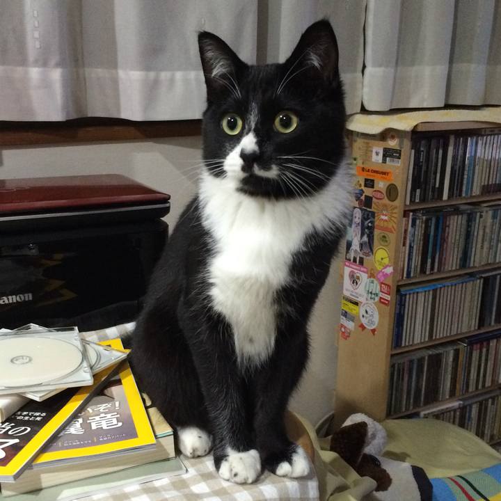 D9573734 7cd8 4be6 9f0e 3b516acacd47 1512190985374