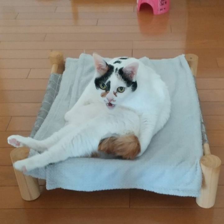 D9573eb3 5278 41f1 a271 249d9852832a 1710114071459