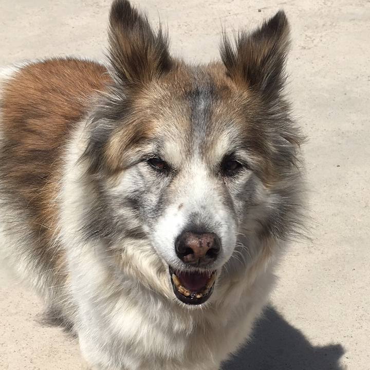 D9578776 7d82 4b64 8b6d 7971d9bb7e76 1524728695559