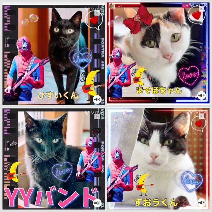 D957878a dea8 47a6 a949 a07c14b020ca 1689214803801