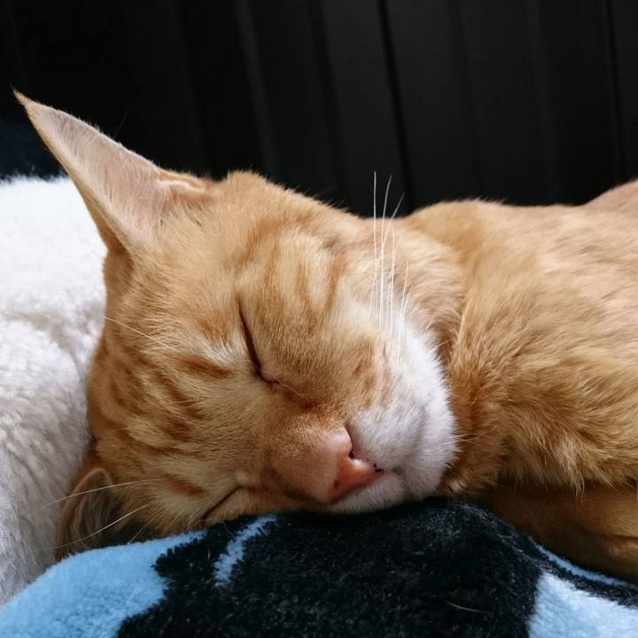 D957a381 a7a5 4ef0 bf58 d6b52fdabc02 1513645089404