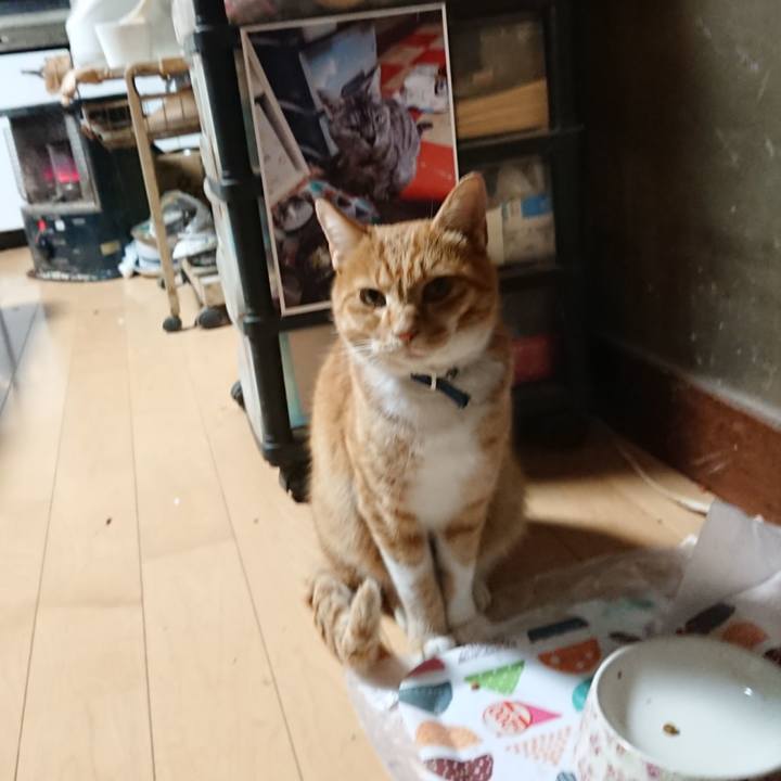 D957ccb1 7f20 436f bfed d2f32279971a 1602965063789