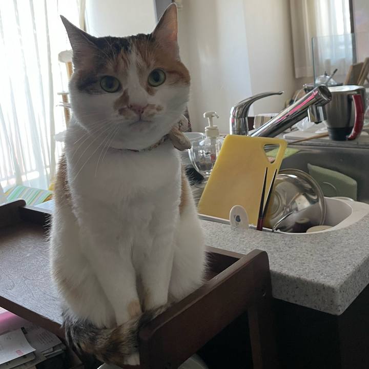 D9581580 a52d 4a54 97c1 eeeb1a131df3 1645403644463