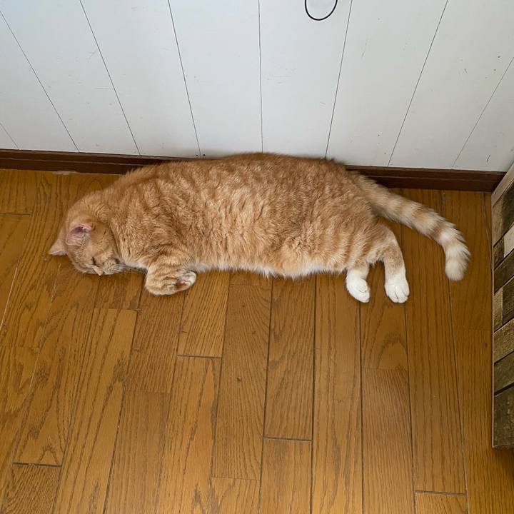 D9581ac0 ab4d 4e25 8637 1bc2f09e6066 1658106730087