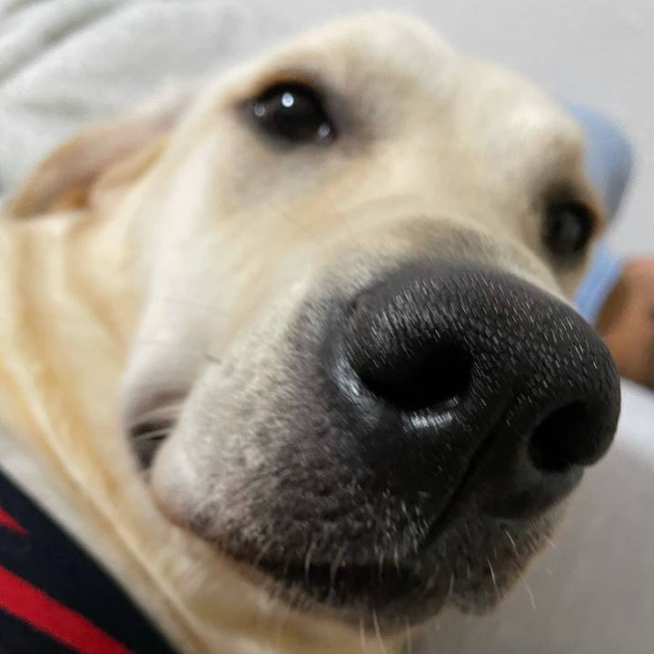 D95838d8 364c 4c5c 8fe7 c423955b492c 1630171937527