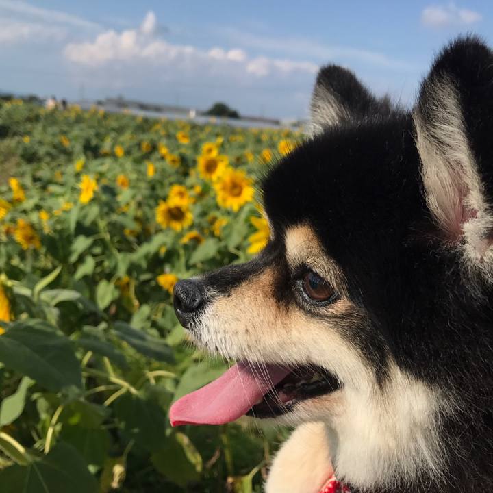 D95851c0 4a16 4466 a178 c0a5e374c0ee 1573643903525