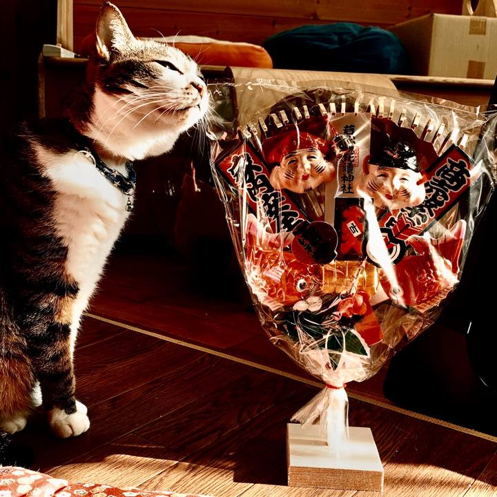 D958abfc a114 4be8 a3fc 568b47e29163 1641799196161