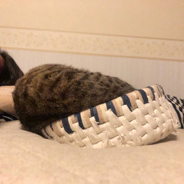 D958dbcf b433 4c73 8414 25b6ebc07faf 1602000085341