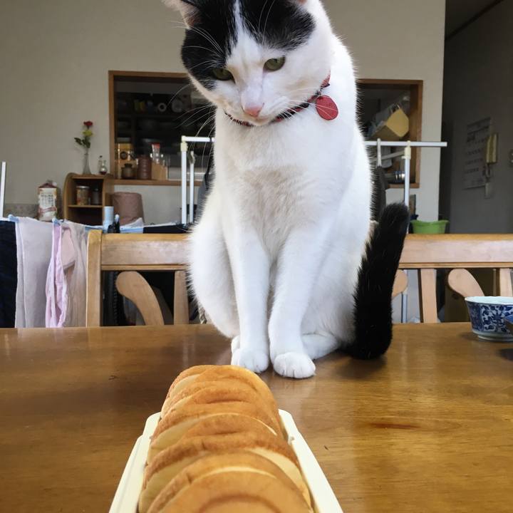 D958ea81 9a7a 40df 8d46 3aafffec9202 1510572485024