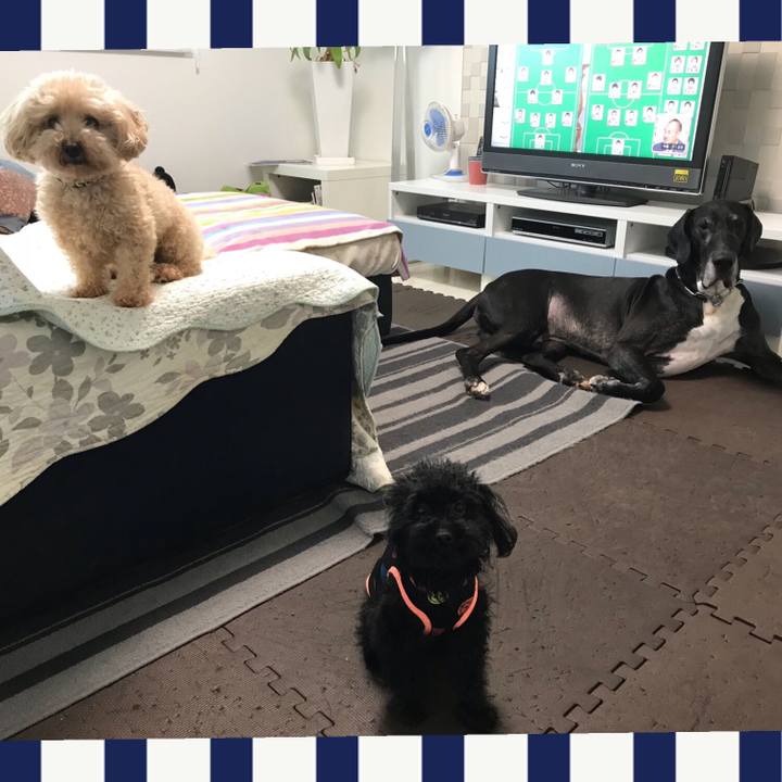 D959563d ef0c 4844 9d25 781d96390783 1530138280226