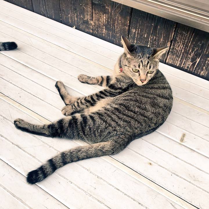 D9595916 2f9b 4a15 b5ec 98cd61f3415d 1510100536422