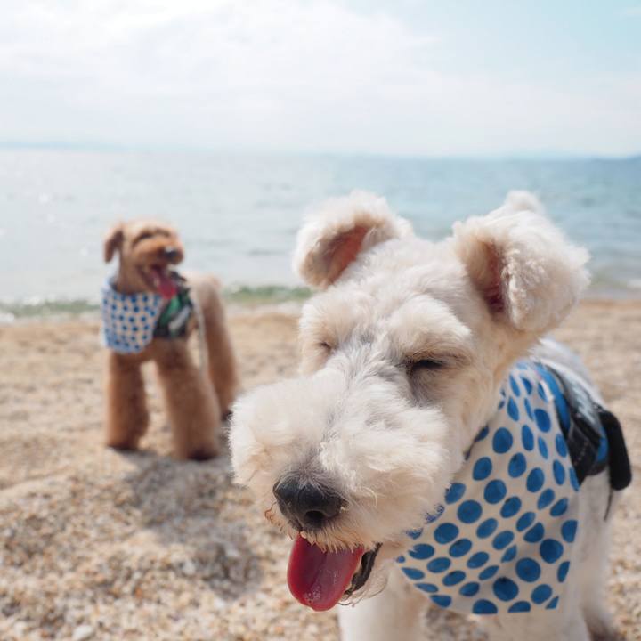 D9598123 d335 4203 81dc d8cab14b0d08 1604751356165