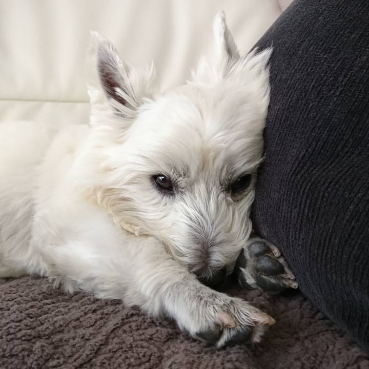 D959882d 2e02 4cb2 a93e 0d6841555f4e 1522079270929