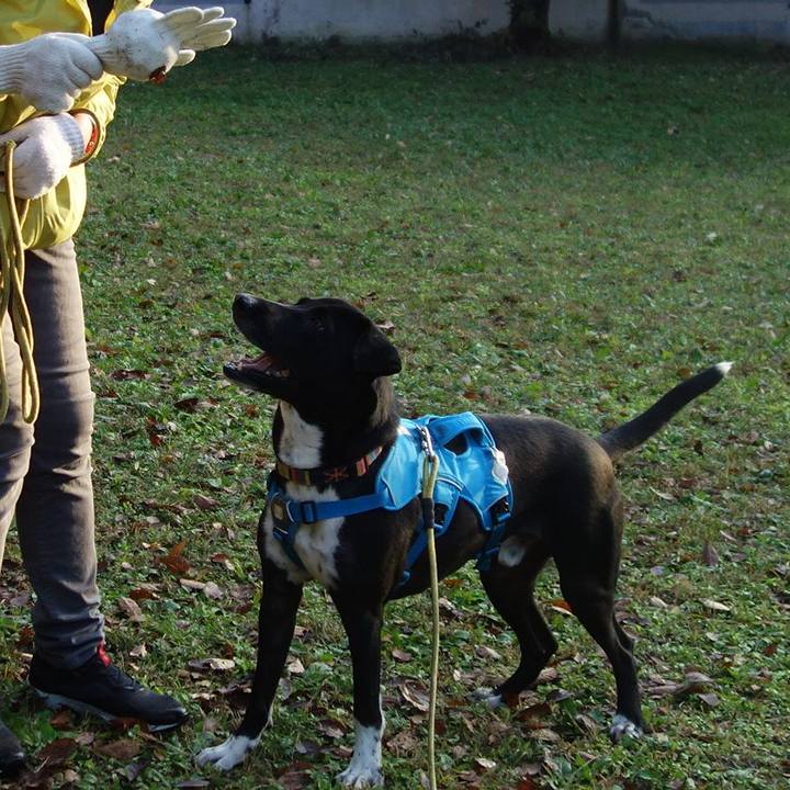 D9598a66 e970 4431 942c 825c22f23b9f 1605656890605