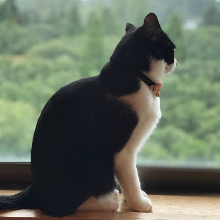 D9598f7f d122 4107 bbf5 7b8f3c6ad490 1536918744835