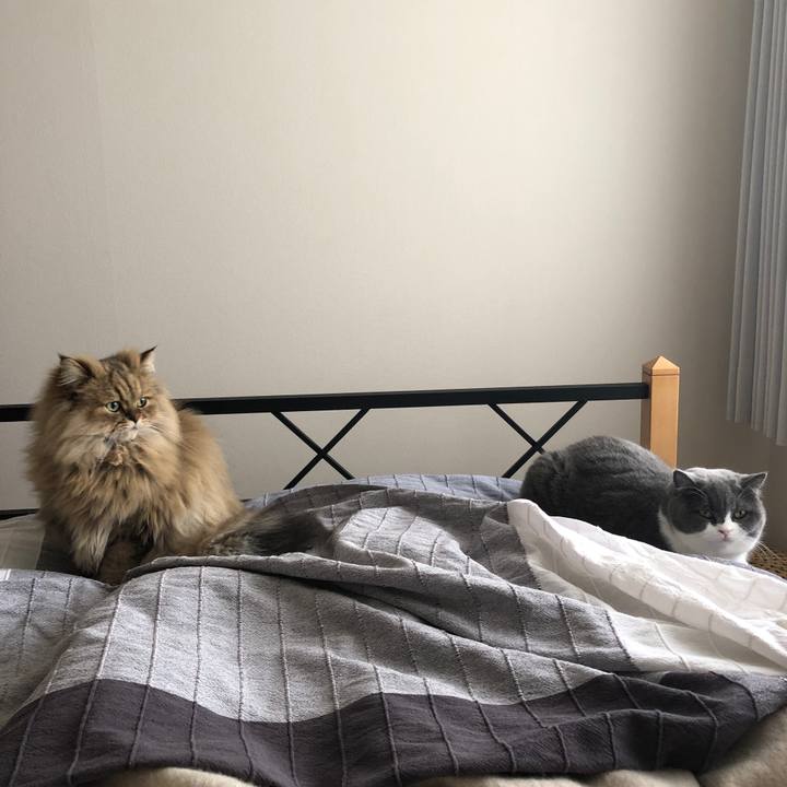 D95994db 061e 47d2 a1dc 391f368295e3 1544315814792