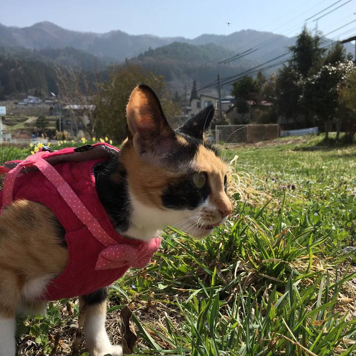 D9599bd9 79cc 49a4 bdb7 f8e3cda48f45 1522803355665