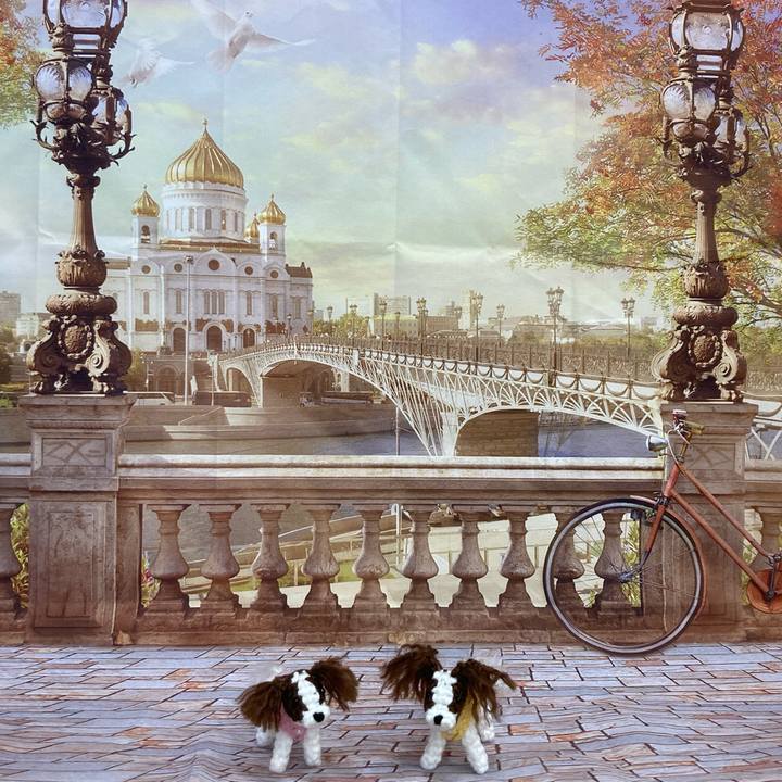 D959d552 88cc 40ac bc82 107e1cdeda55 1662536796324