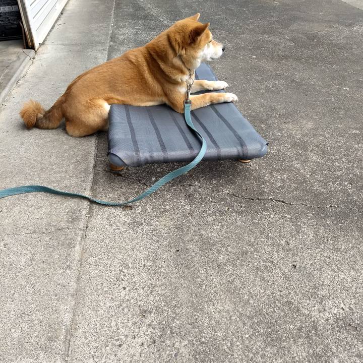 D95a1751 3bdc 472c 9f9a d851f56f4e75 1553771154166