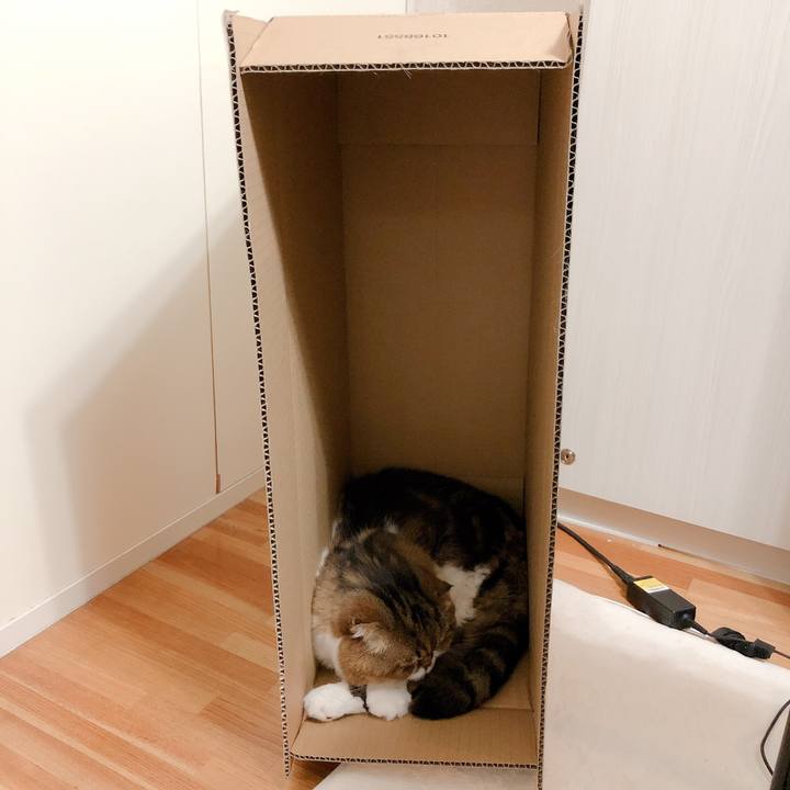 D95a1b1a dd11 4fec 9744 ad267185945c 1559919007971