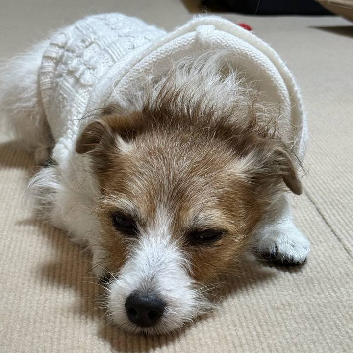 D95a592d f9cc 4d1c b168 60e220d892e9 1704264950780