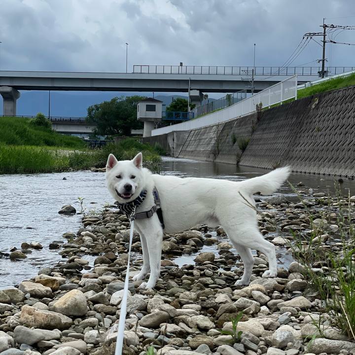 D95a6904 66ed 4b90 b044 d9cea5832d05 1656041540789