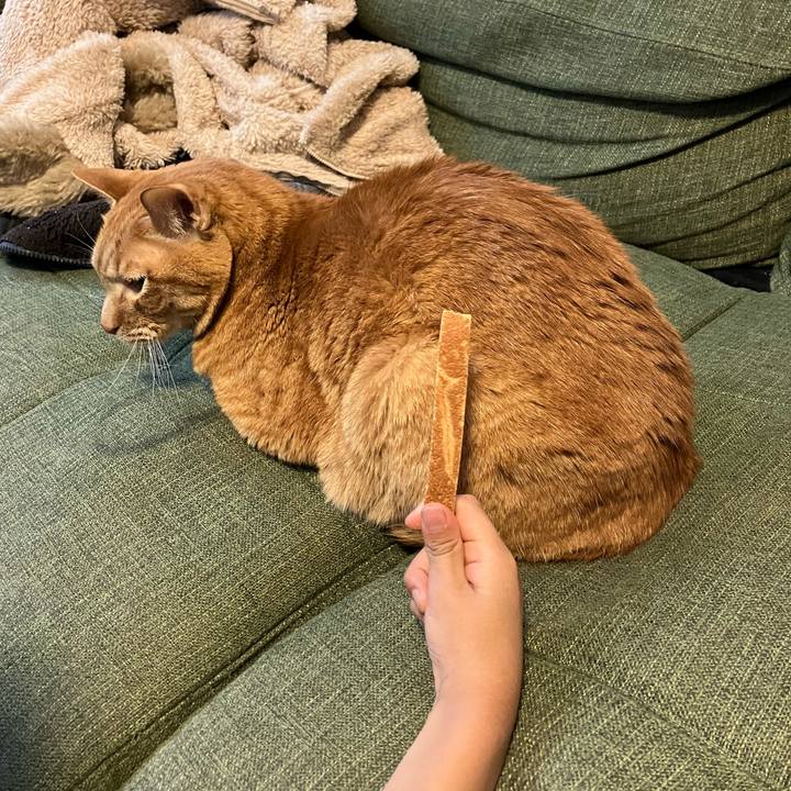 D95aaa06 c125 4f3c b1dc 1c70bec7e2e2 1770421075970