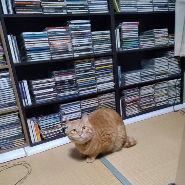 D95ab330 dce2 473c a42c f7ec8a61edd5 1675600480503