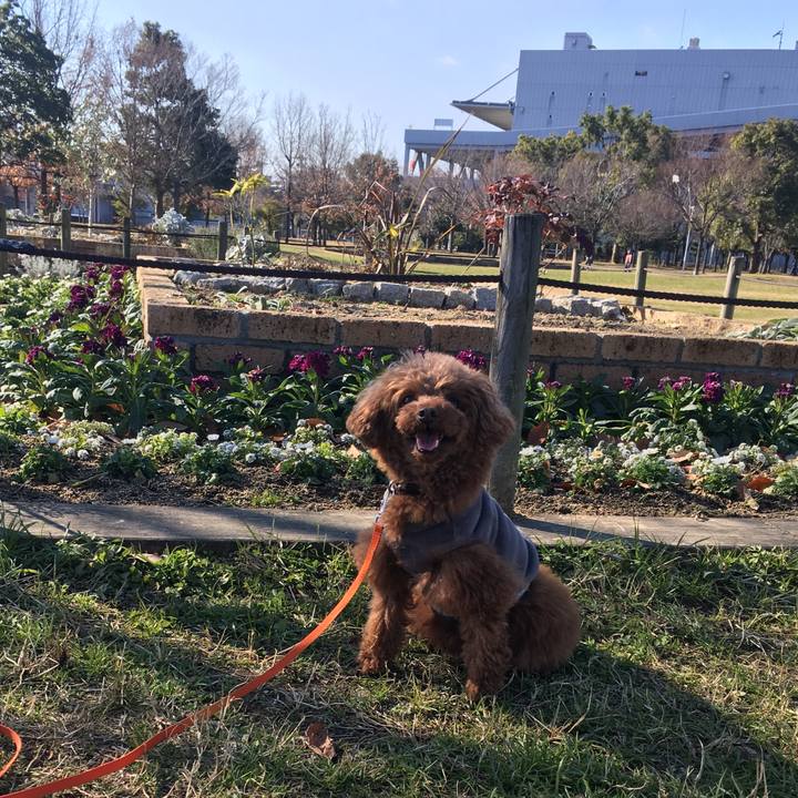 D95af870 36f1 4921 b523 dcd83bc296fb 1546579948434