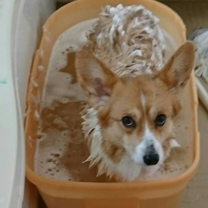 D95afddb 209c 4b6f b98e 171db409fb69 1545371673209