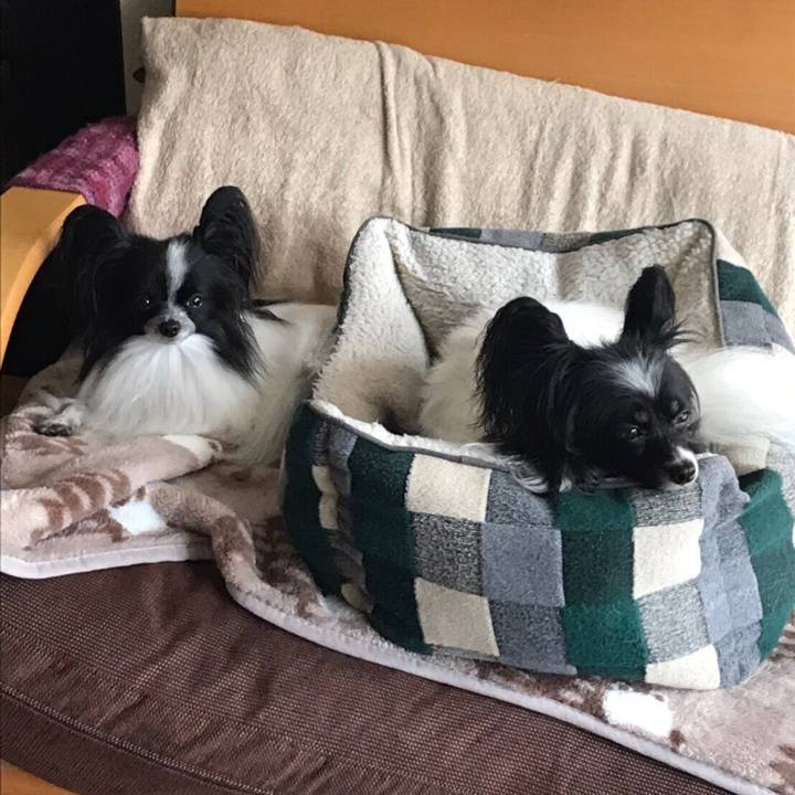 D95b2d75 b4a0 4f68 af0f aded3b49defc 1538826615292