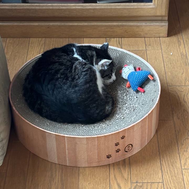 D95b2d76 55e2 4a38 8fd5 cdfc7d56e6b2 1775048659541