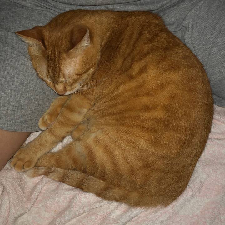 D95b2f4f 3ad4 415a 9c6b 077fd362c559 1596634813029