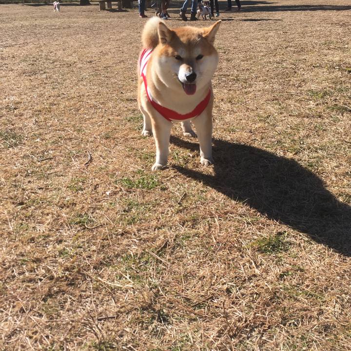 D95b42be ca8b 42d9 b8a0 252f3af05910 1548570477904