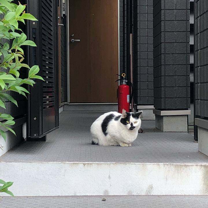 D95b493c b6e8 4820 9a0e cc663c98061c 1638013592440