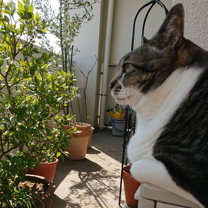 D95b791a c916 40e0 a15c 864731fbbcf4 1551491190711