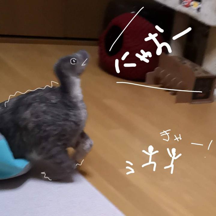 D95bbb6b 603a 46bb 95d4 db7842c48834 1572830184131