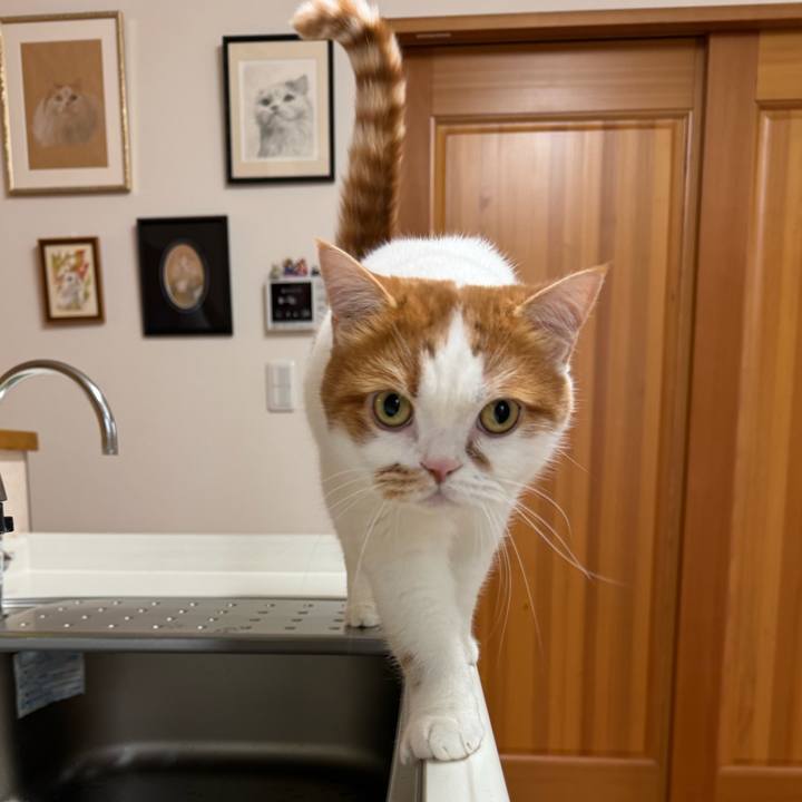 D95bd392 8d0a 4180 be1c 5aa9efa27f43 1762652359573