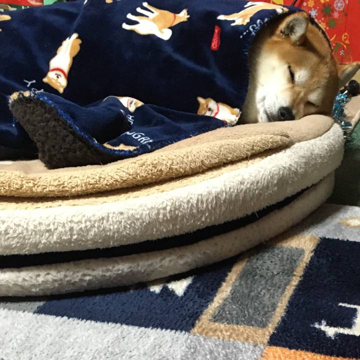 D95c63bc 4986 44d1 bfea 05d7d3587649 1608285463753