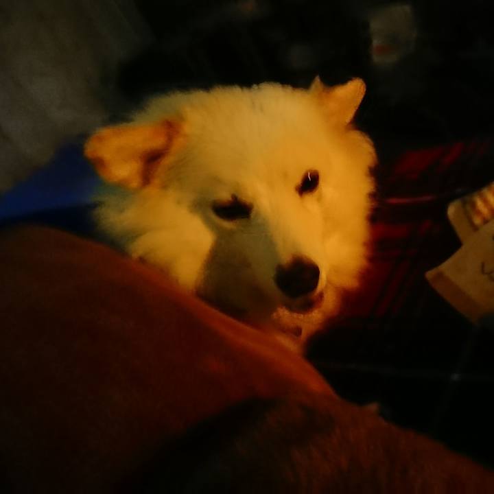 D95c6f72 6dd7 4f59 9592 ec2339df0954 1509914829796